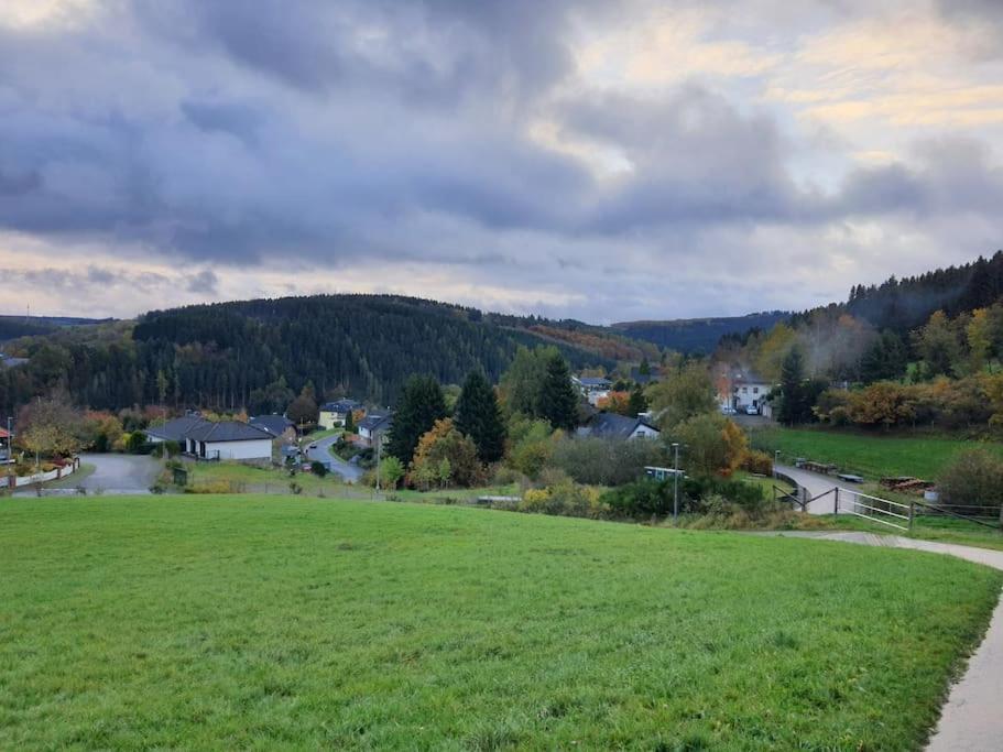 Holzhaus Chalet Nationalpark Eifel Hund Willkommen Hellenthal Exteriér fotografie