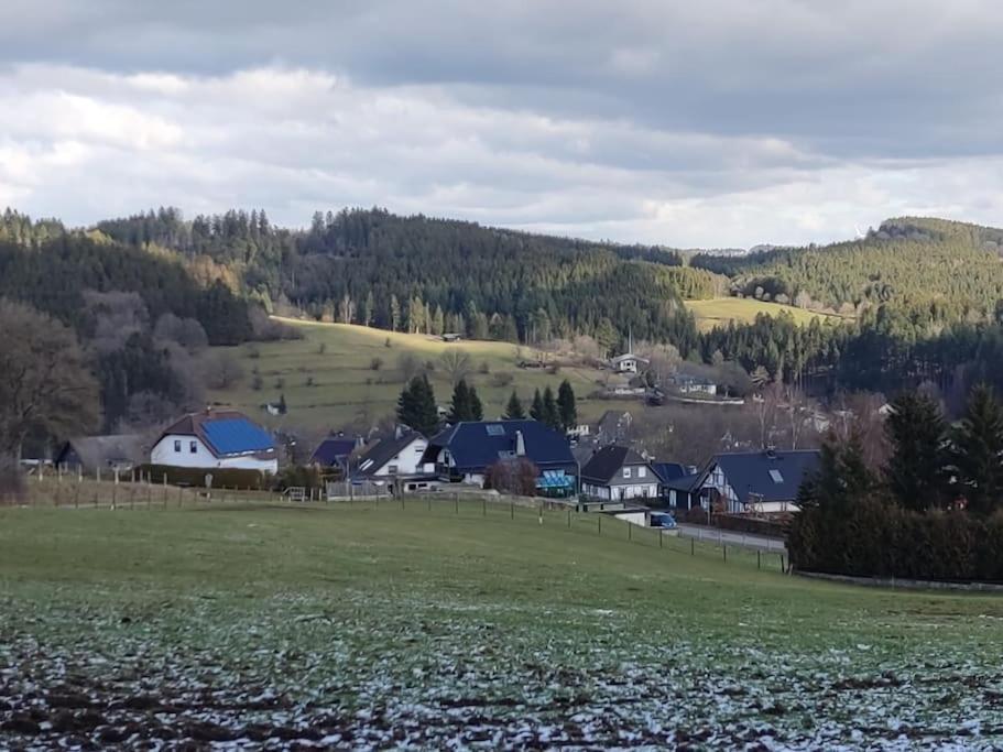 Holzhaus Chalet Nationalpark Eifel Hund Willkommen Hellenthal Exteriér fotografie